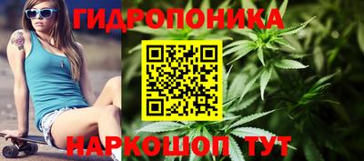 гашик Кунгур