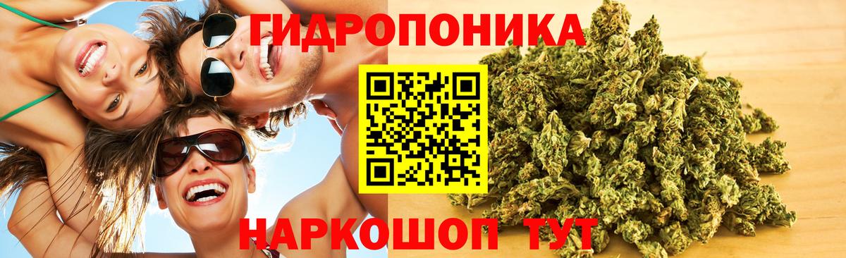 Конопля OG Kush  Вход с VPN  Кириши  Шишки марихуана White Widow 
